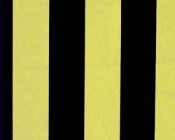 PENALTY_STRIPE_H1555