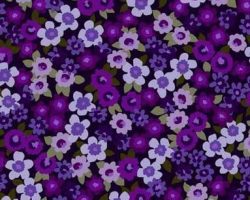 EMMANUELLE__H7253