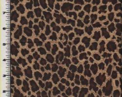 ANIMAL_ATTRACTION_L1993