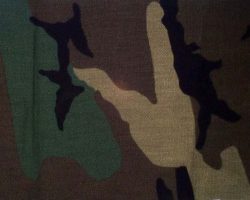 PP_WOODLANDS_O-2430