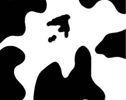 COW_SPOTS_O-3564