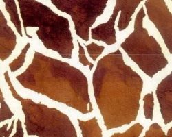 GIRAFFE_O-4174