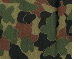 WW_II_O-4354