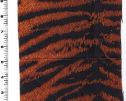 TANGERINE_TIGERESS_X0093