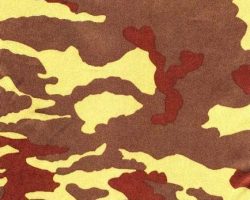 CAMOUFLAGE_X12553