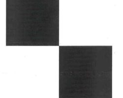 RACING_CHECK_X12872