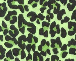 LEOPARD_X13013