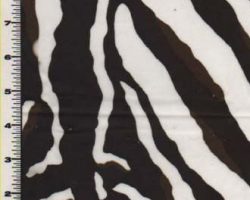 ZEBRA_X13140