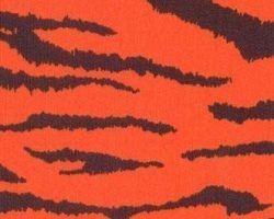 TIGER_STRIPES_JAGGED_X14113