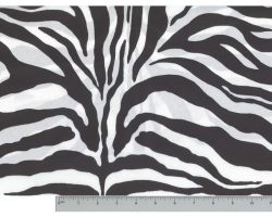 ZEBRA_X14155