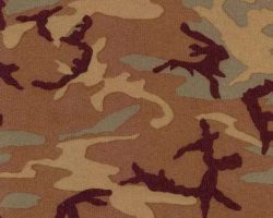 CAMO_X14170
