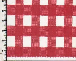 PICNIC_CHECK_1420_X64305