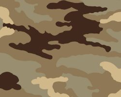 CAMO_Z14210