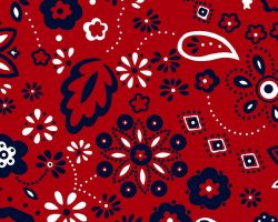 PAISLEY_Z60193