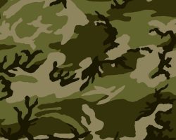CAMO_Z65126