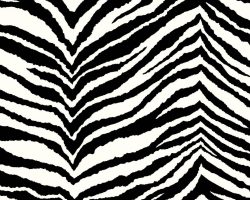 ZEBRA_Z66286